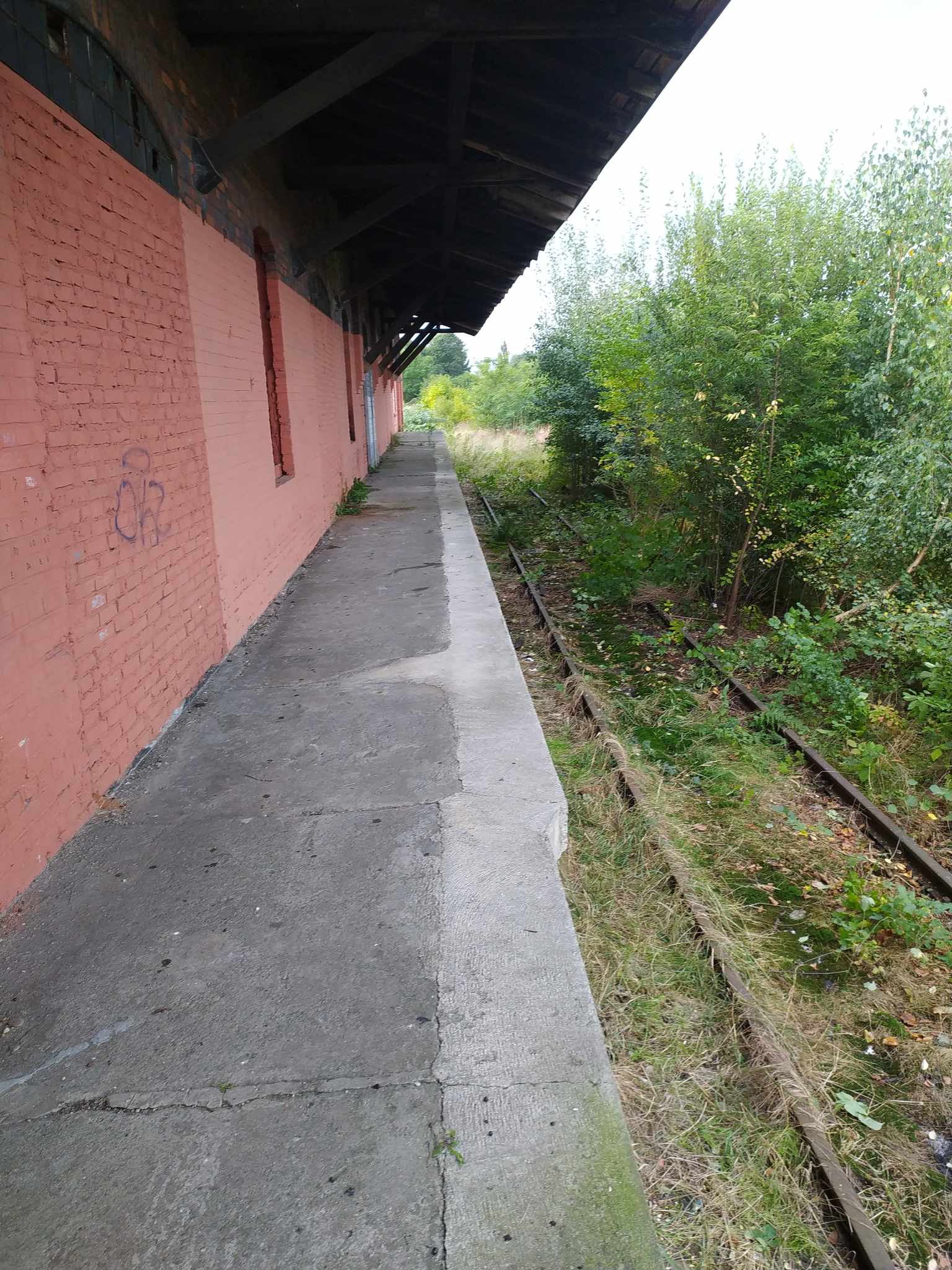 Uczniowie I LO sprzątają kozielską rampę kolejową – IX 2023