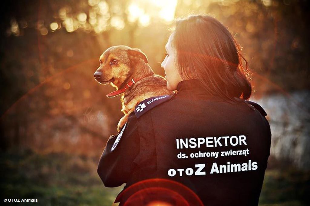 Zostań inspektorem  OTOZ Animals