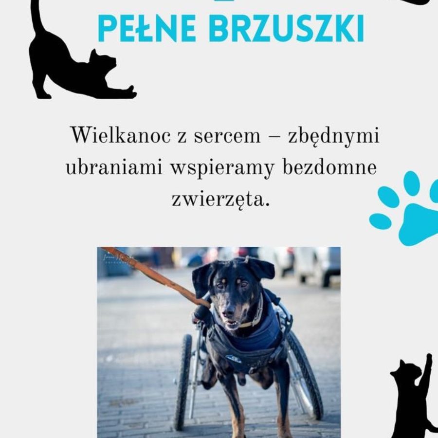 Stare Ciuszki = Pełne Brzuszki